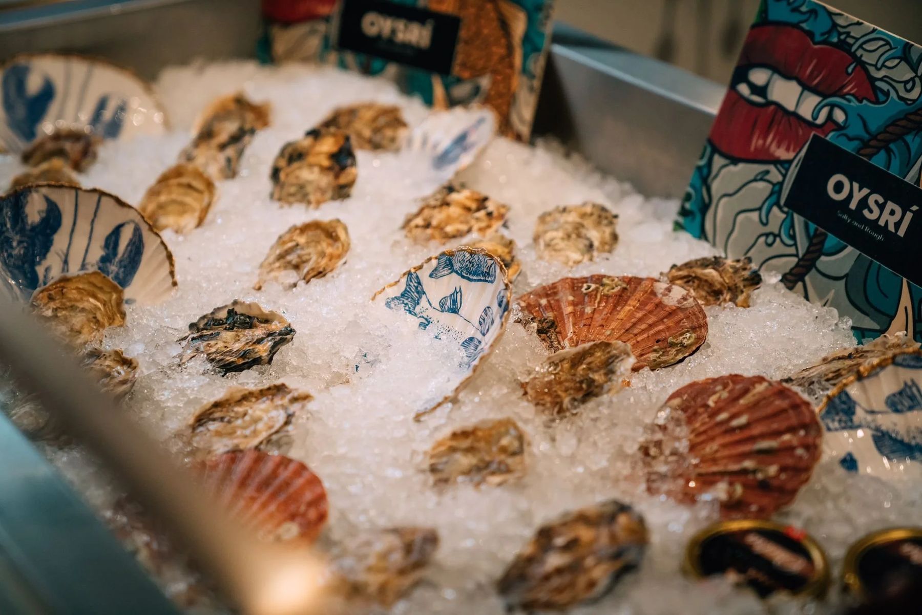 Vers gestoken oesters op ijs